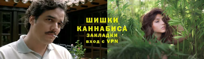 Бошки марихуана LSD WEED  наркошоп  Высоцк 